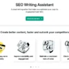 seo writting assistant